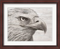 Framed Eagle landscape