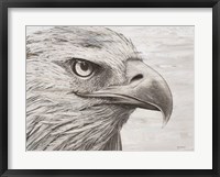 Framed Eagle landscape