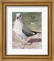 Framed Beach Bird III