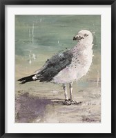 Framed Beach Bird IV