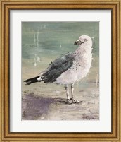 Framed Beach Bird IV