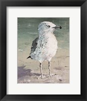 Framed Beach Bird V