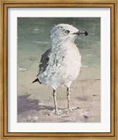 Framed Beach Bird V