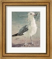 Framed Beach Bird VII