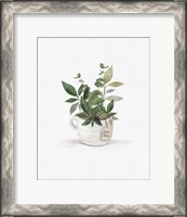 Framed Botanical Mug I