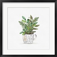 Framed Botanical Mug II