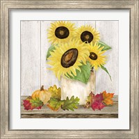 Framed 'Fall Sunflowers I' border=