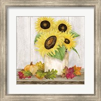 Framed Fall Sunflowers I