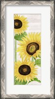 Framed Fall Sunflowers panel I