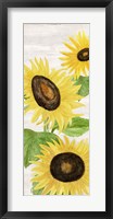 Framed Fall Sunflowers panel II