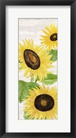 Fall Sunflowers panel II Framed Print