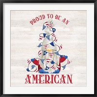 Framed Patriotic Gnomes VI-American