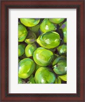 Framed Tropical Limes