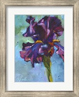 Framed Iris in Bloom