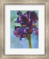Framed Iris in Bloom
