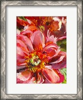 Framed Floral Close Up