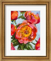 Framed Rose Mix