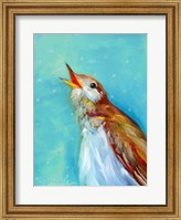 Framed Birdcall