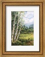 Framed Colorado Meadow panel I