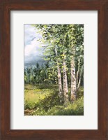 Framed Colorado Meadow panel II