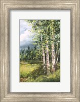 Framed Colorado Meadow panel II