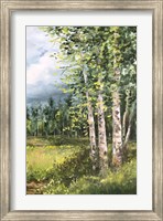 Framed Colorado Meadow panel II