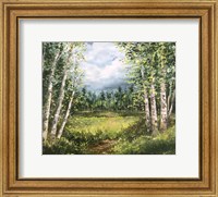 Framed Colorado Meadow landscape