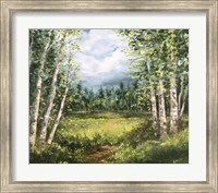 Framed Colorado Meadow landscape