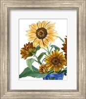 Framed China Sunflowers II