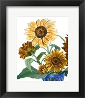 Framed China Sunflowers II