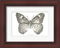 Framed Butterfly Sketch landscape I