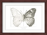 Framed Butterfly Sketch landscape II