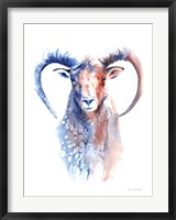 Framed Copper and Blue Ram