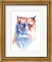 Framed Copper and Blue Lioness