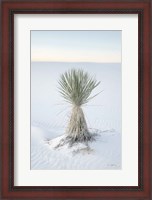 Framed Yucca in White Sands National Monument
