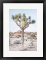 Framed Joshua Tree National Park II