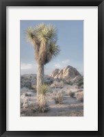 Framed Joshua Tree National Park I