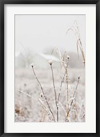 Framed Early Snow