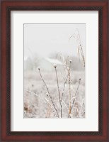 Framed Early Snow