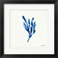 Deep Sea Botanical I Framed Print