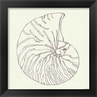 Framed 'Coastal Breeze Shell Sketches VII Silver' border=