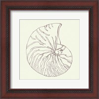 Framed Coastal Breeze Shell Sketches VII Silver