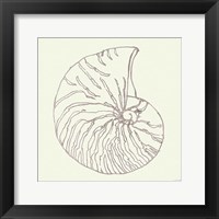 Framed 'Coastal Breeze Shell Sketches VII Silver' border=