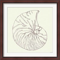 Framed Coastal Breeze Shell Sketches VII Silver