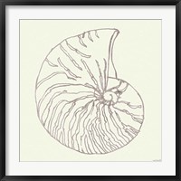 Framed Coastal Breeze Shell Sketches VII Silver