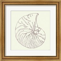 Framed 'Coastal Breeze Shell Sketches VII Silver' border=