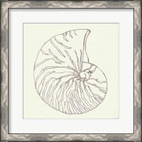 Framed 'Coastal Breeze Shell Sketches VII Silver' border=