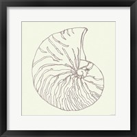 Framed 'Coastal Breeze Shell Sketches VII Silver' border=