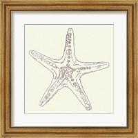 Framed 'Coastal Breeze Shell Sketches VI Silver' border=