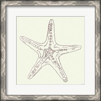 Framed 'Coastal Breeze Shell Sketches VI Silver' border=